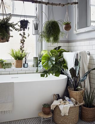 bathroom filled with house plants