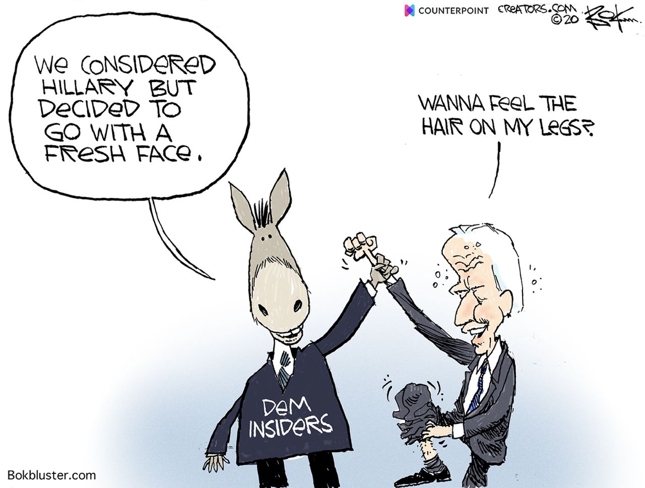 Political Cartoon U.S. Hillary Clinton Joe Biden DNC democratic candidate 2020 primaries fresh face career politicians