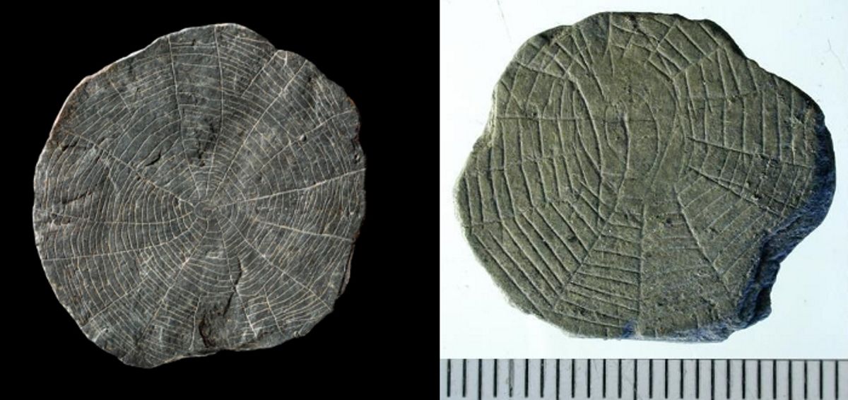 Two of the 5,000-year-old &quot;spider stones&quot; unearthed on the Danish island on Bornholm.