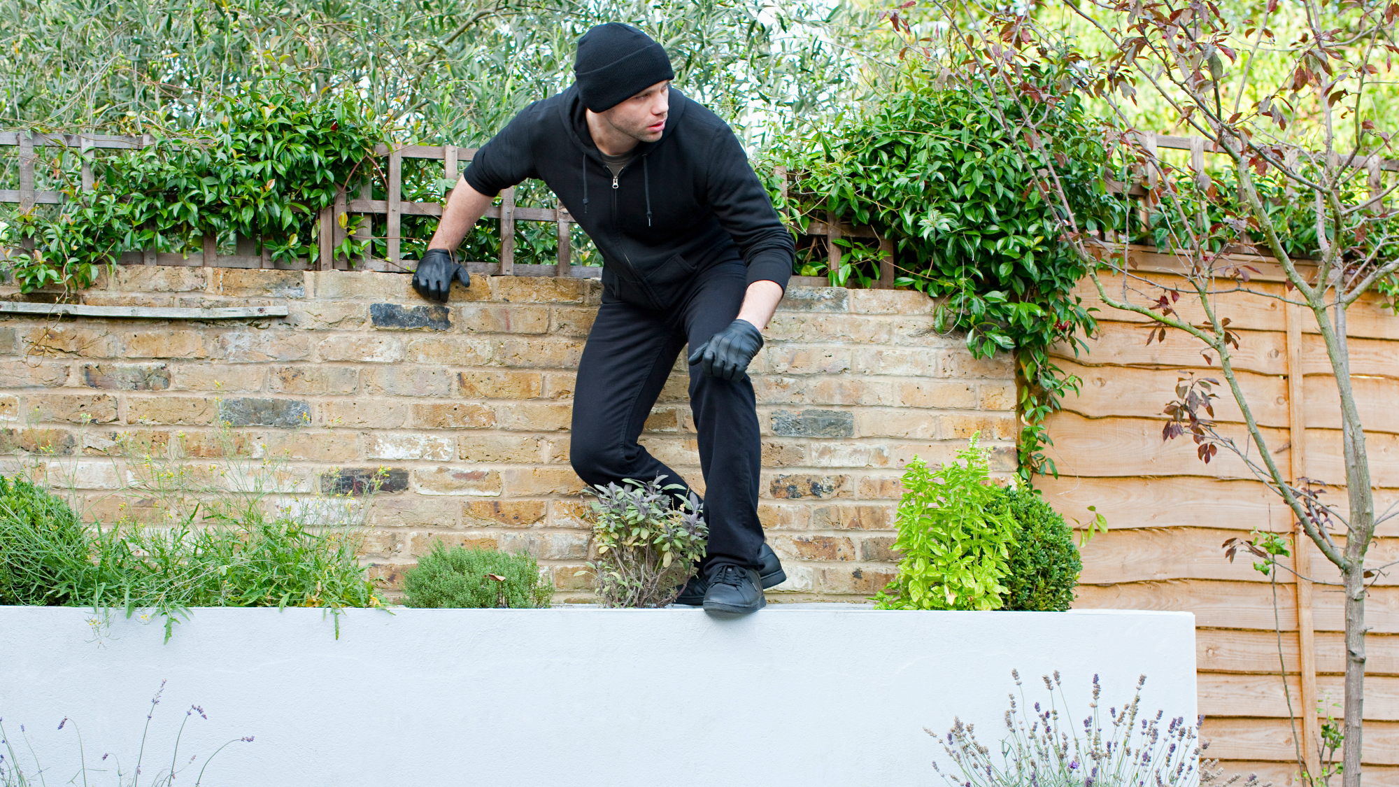 burglar climbing over a planter in yard