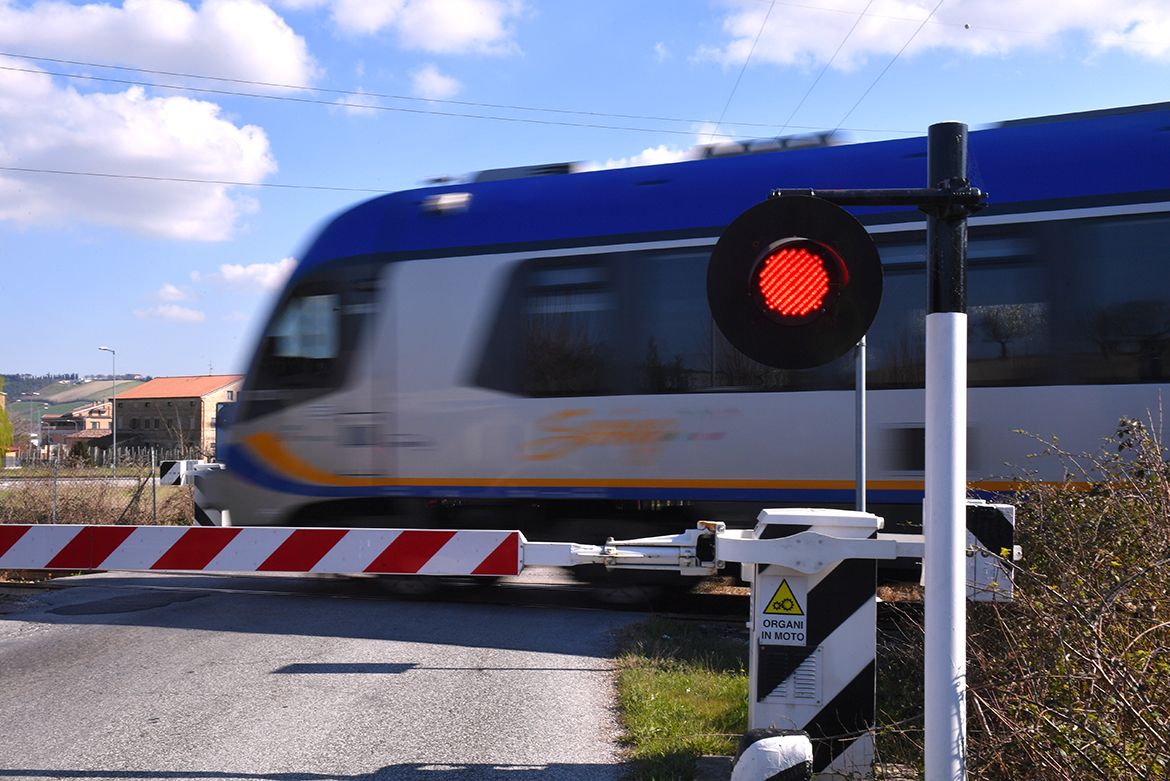 A train passes in front of the stopped peloton in Tirreno-Adriatico