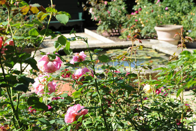 Wormsley Walled Garden at the Wormsley Estate was the venue for a Country Life guided tour and afternoon tea event, sponsored by the investment management specialists, Charles Stanley.
