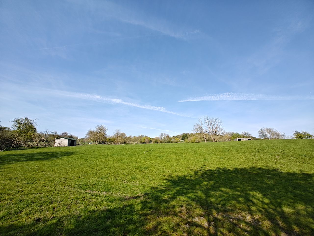 A photo taken on the Motorola Edge 40 Pro