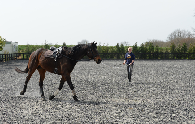Giffords Circus on 10 04 2015
