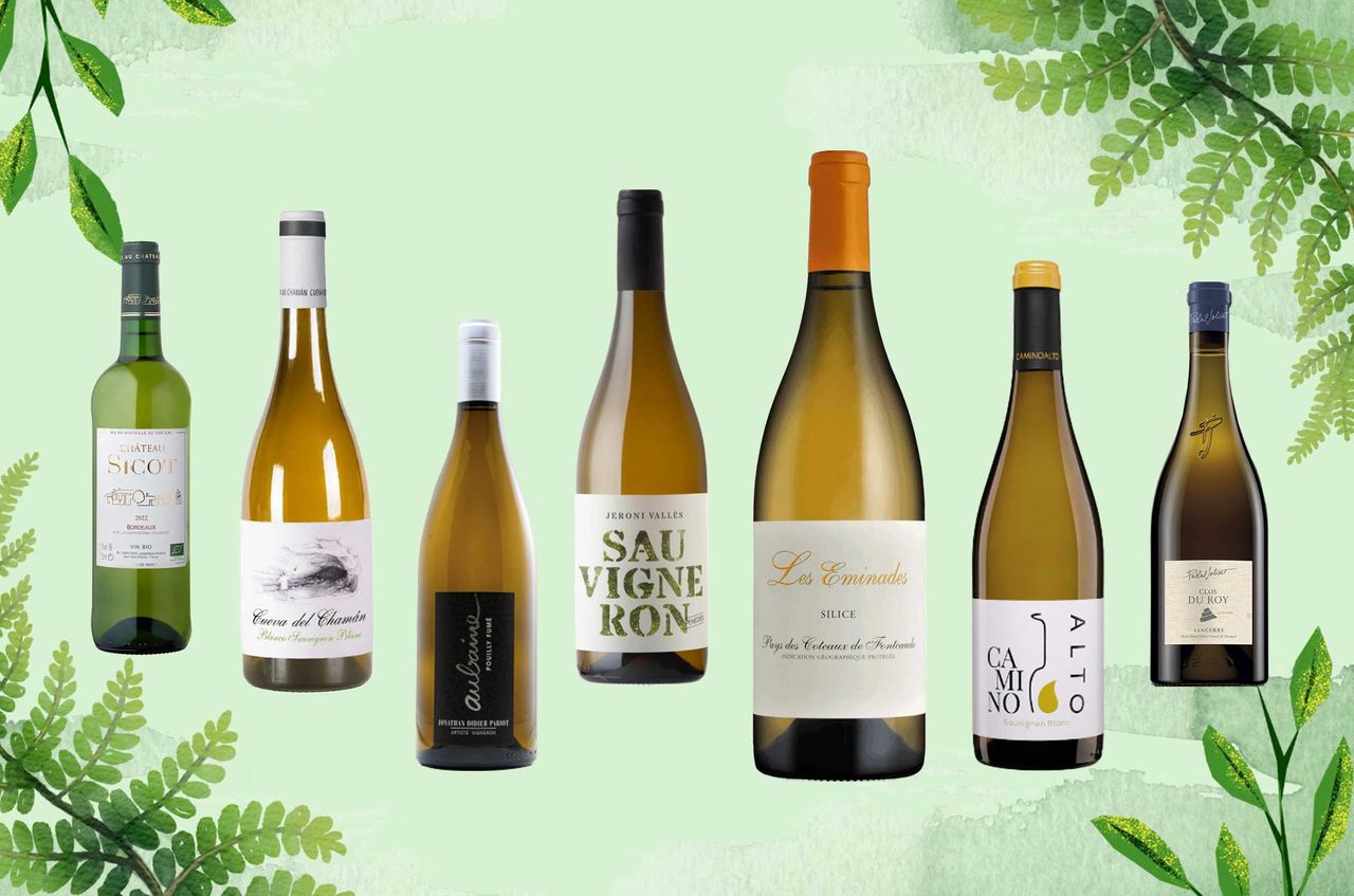 Seven organic Sauvignon Blanc for summer sipping