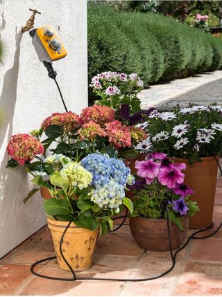 best self watering gadgets and accessories, pots and planters filled with flowers all being watered via a smart irrigation system connected to an outdoor water tap