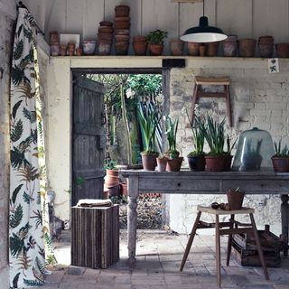 garden room with terracotta pots and botanical curtains