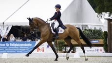 Luhm&uuml;hlen Horse Trials: GBR-Laura Collett rides London 52 during the 2nd Day of Dressage for the CCI5*-L. Interim-1st. 2023 GER-Longines Luhmuehlen Horse Trials. Luhmuehlen, Germany. Friday 16 June 2023. Copyright Photo: Libby Law Photography