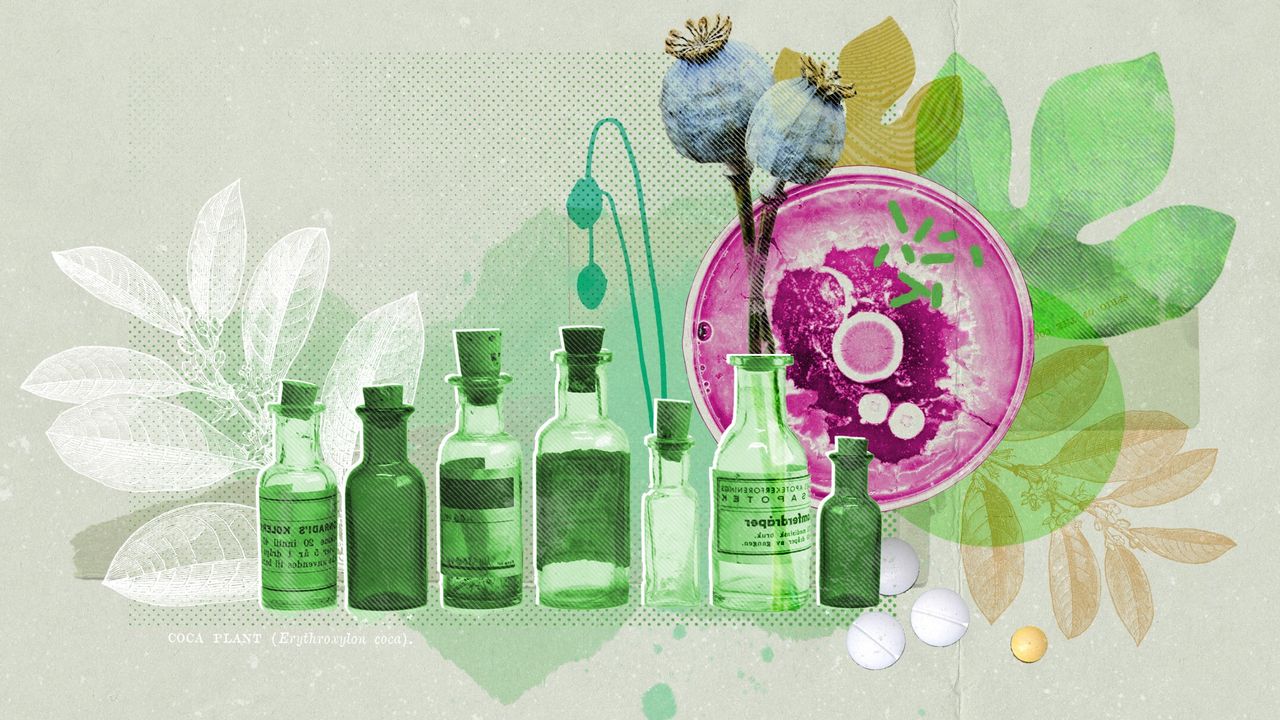 Seven glass medicine bottles lined up in front of an illustration of plants, indicating natural drugs