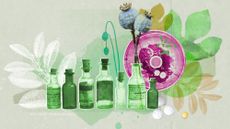 Seven glass medicine bottles lined up in front of an illustration of plants, indicating natural drugs