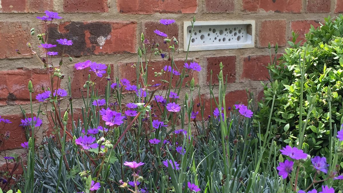 Bee bricks with planting at chelsea alitex stand.