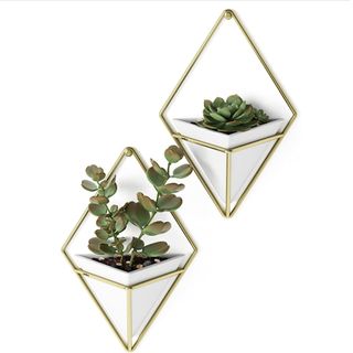 Metal wall planters for indoors