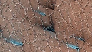 Polygons crack across the Martian surface as hidden ice expands and contracts with the seasons.