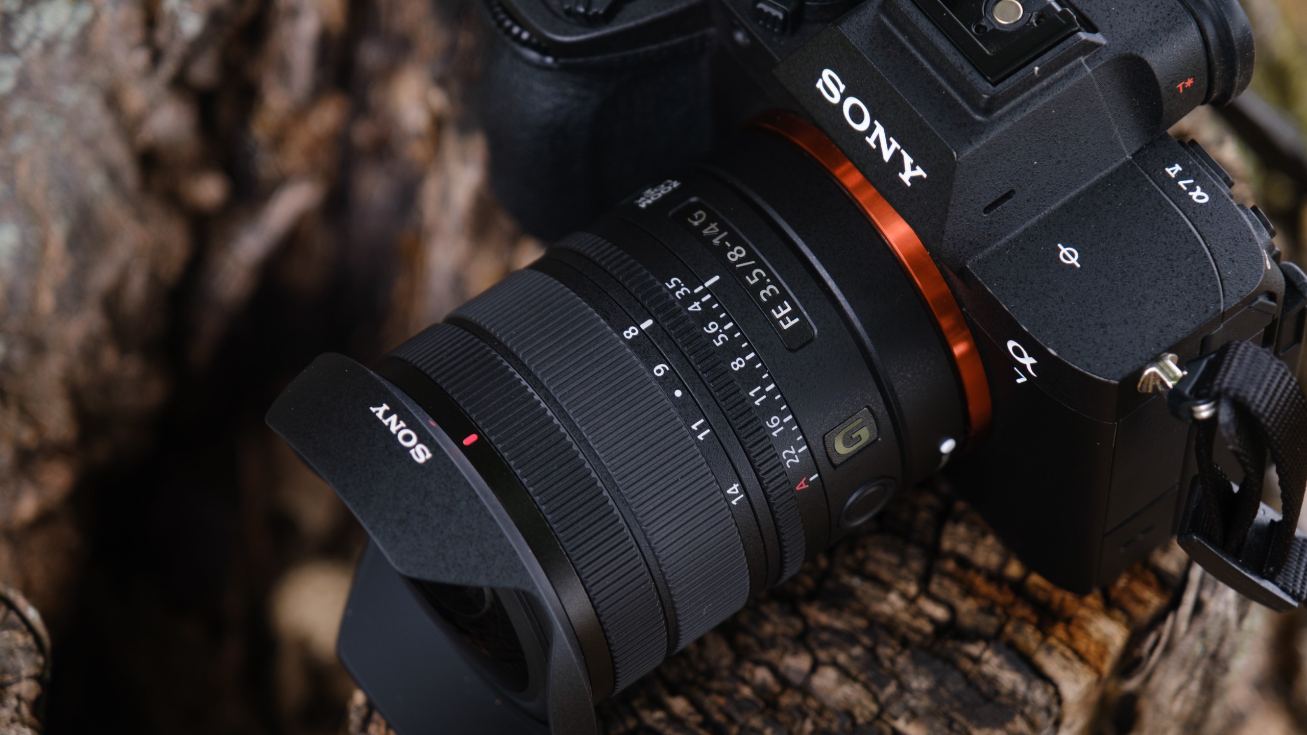 A photograph of the Sony FE 8-14mm f/3.5 Fisheye G lens outdoors