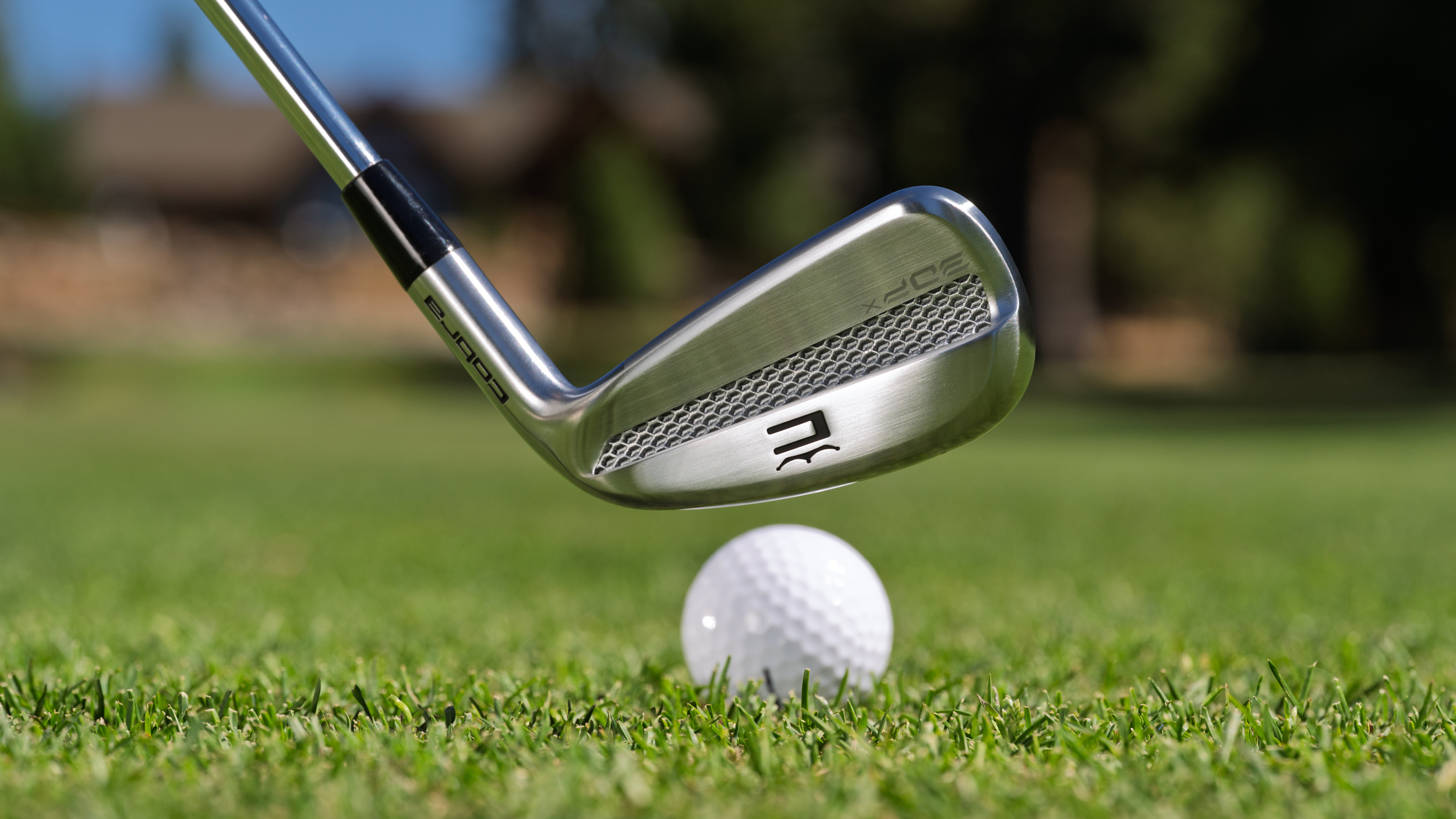 Cobra 3DP irons 2026