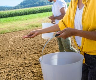 Sowing seeds from a bucket