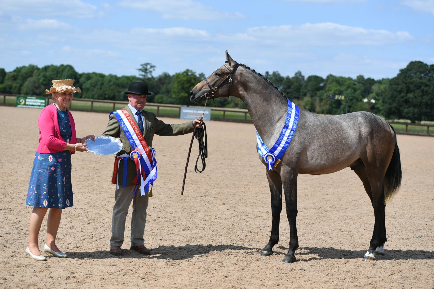 HorseNo215_HunterShow_PN19_36003-e1562594312213.jpg
