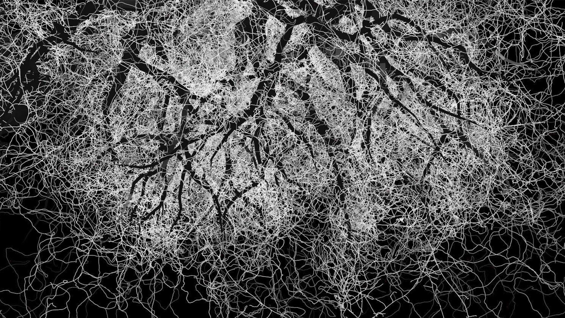 London film festival 2023: Forager