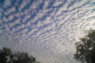 This is a picture of stratocumulus clouds.