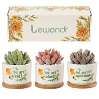 Lewondr Succulent Pots | £16.99 at Amazon