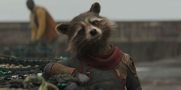 Rocket on New Asgard