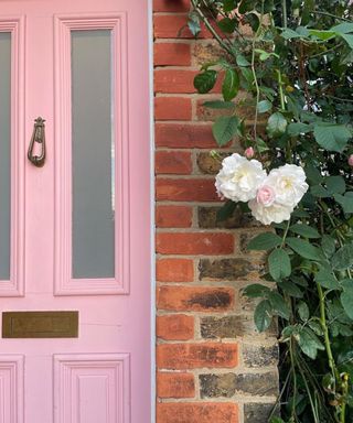 pink door with red brick house and roses