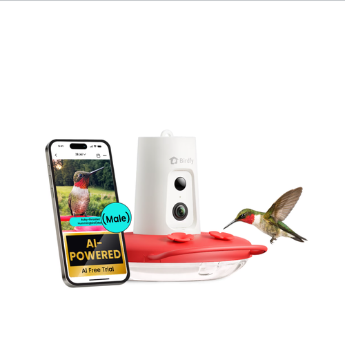 Birdfy Smart Hummingbird Feeder