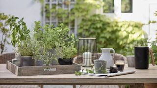 small herb garden by John Lewis