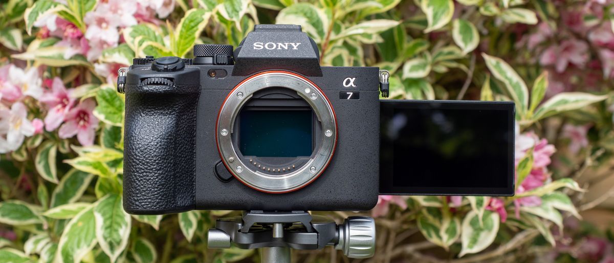 Sony A7 IV on a tripod against a hedge