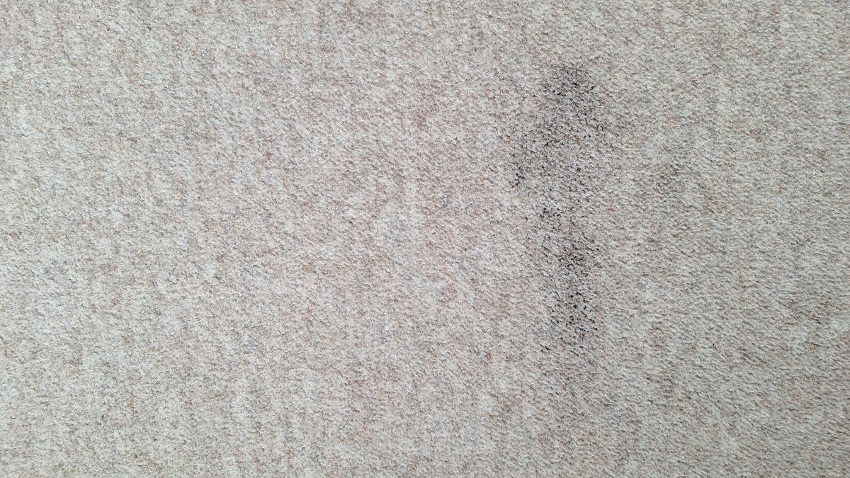 Carpeted floor with remnants of tea after three passes with Roborock Q7 M5 vacuum