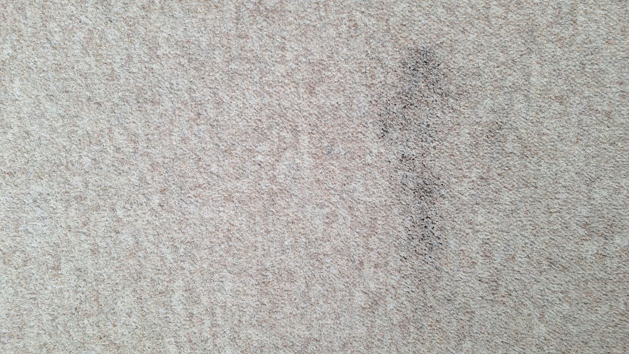 Carpeted floor with remnants of tea after three passes with Roborock Q7 M5 vacuum