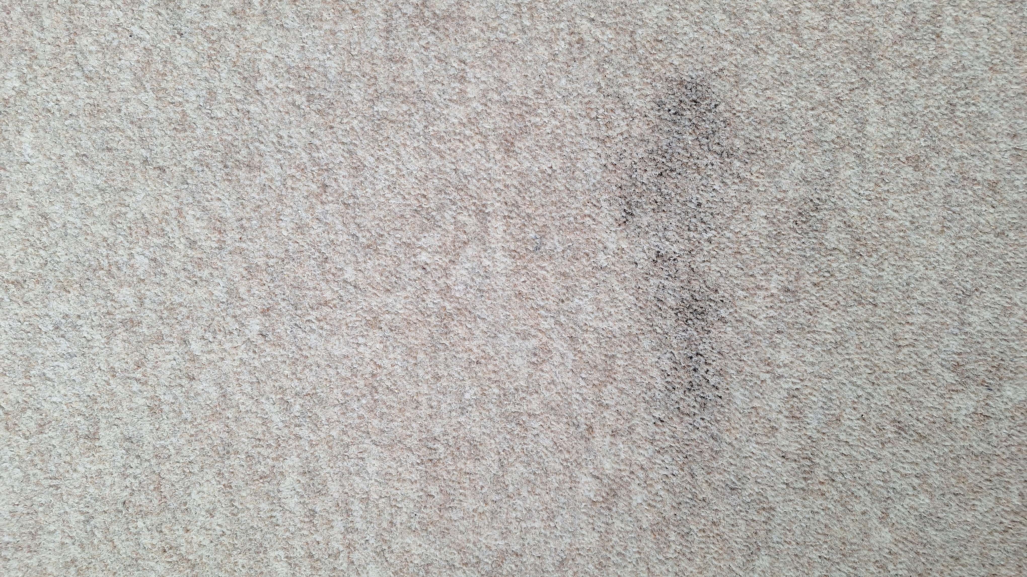 Carpeted floor with remnants of tea after three passes with Roborock Q7 M5 vacuum