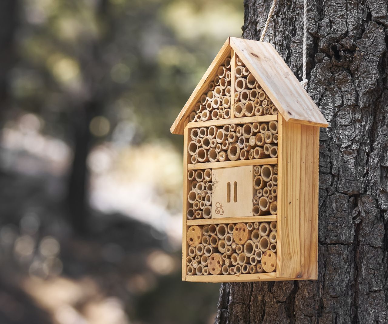 Where to place a bee hotel: tips to pick the best spot | Homes & Gardens