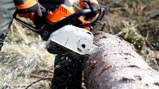 Gloved person cutting tree trunk with chainsaw