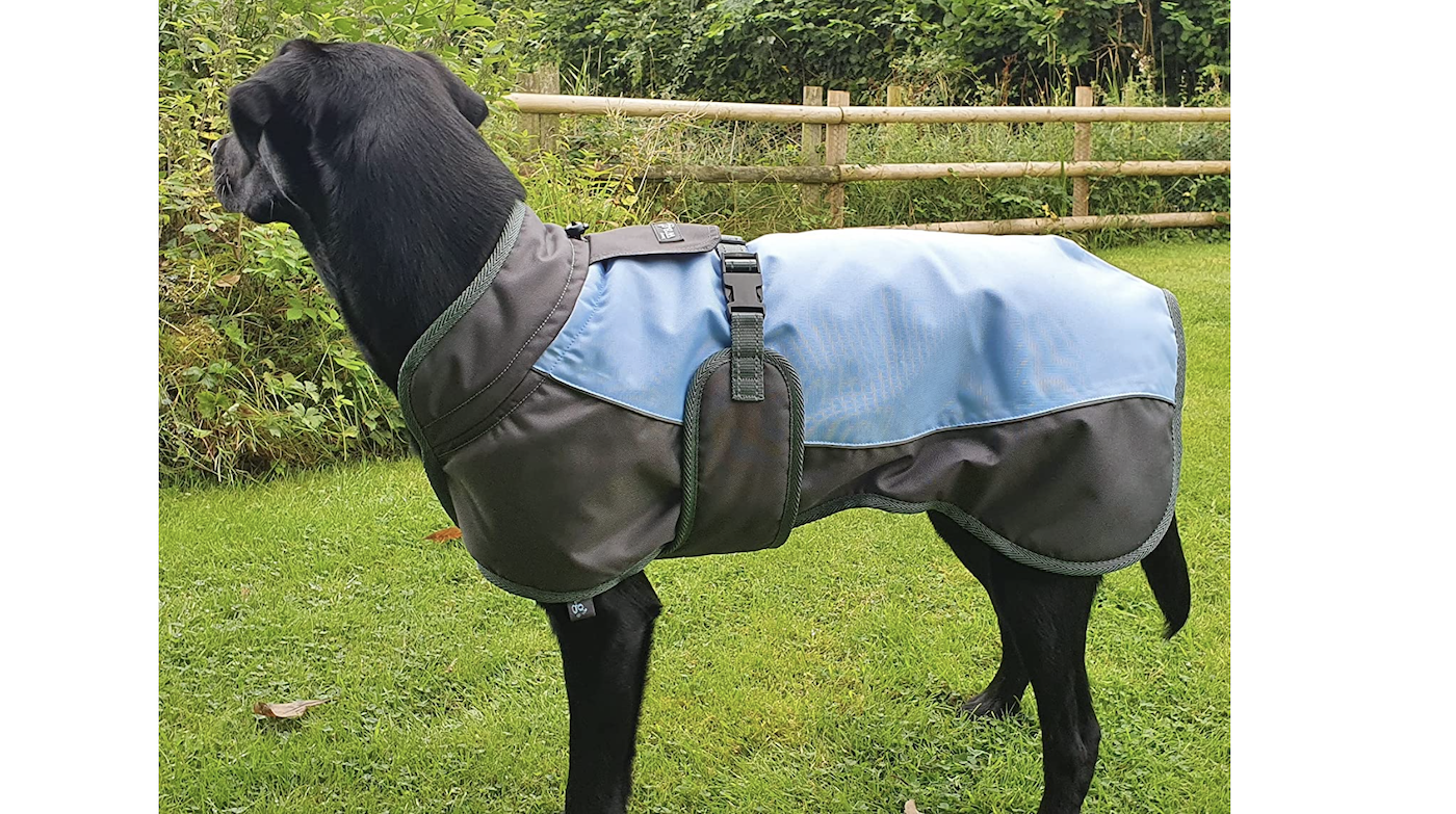 Henry Wag waterproof dog coat
