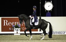 WEB-15-FEIWC-GBR-Dujardin-1766.jpg