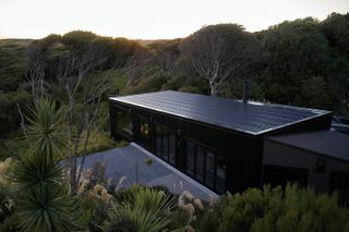Exterior of Coast House, New Zealand, surrounded by nature