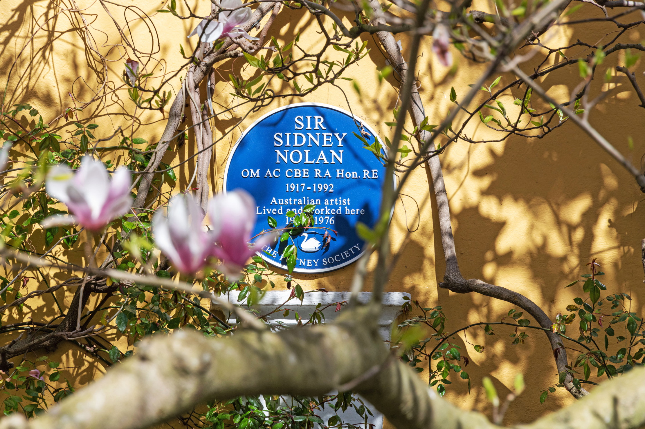 Images of the lovely Deodar Road in Putney