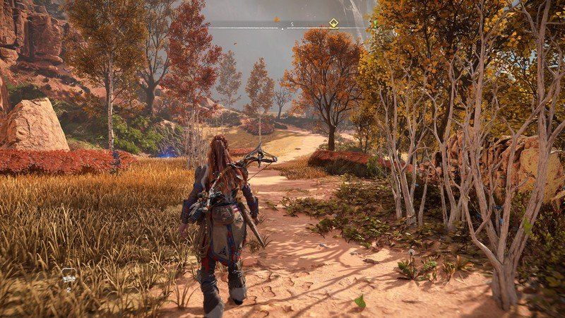 Horizon Forbidden West PS4 Pro