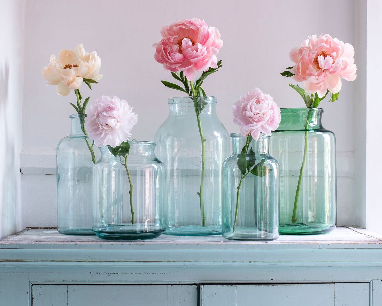 selection of peony stems in vases