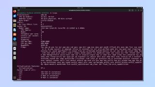 screenshot showing how to find CPU information in linux - lscpu command