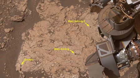 A close up of a reddish brown surface with a metal arm in the right top corner of the image. The image includes yellow arrows and labels of different sites of interest. 
