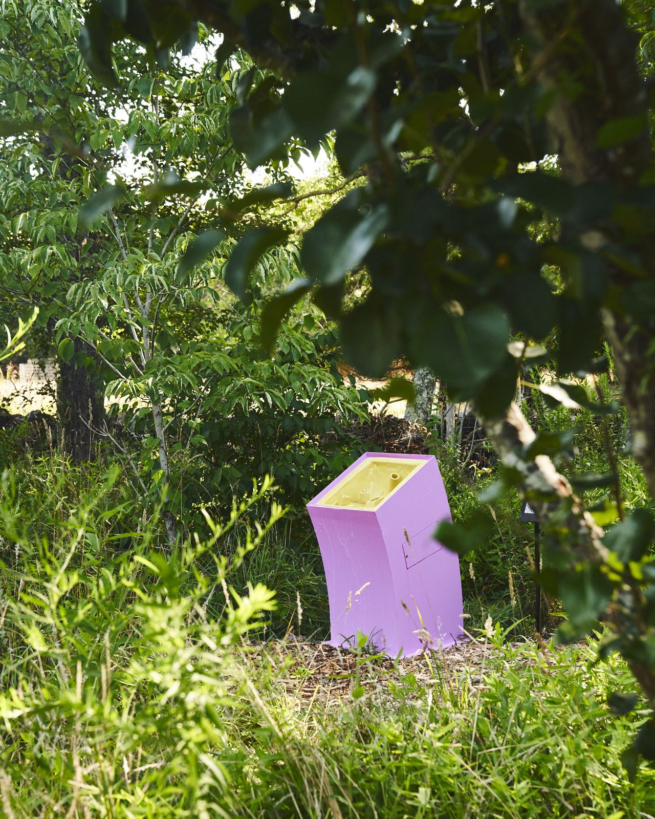 A pink and yellow fountain photographed in a garden