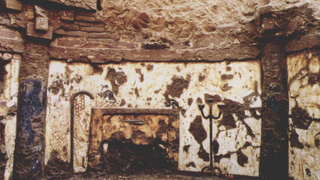 A mural with two black-and-white cats is one of the earliest depictions of cats in China.