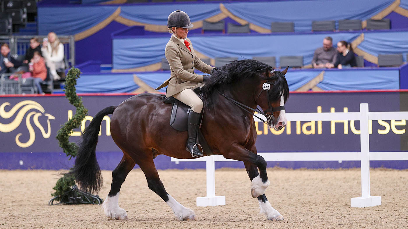 HorseNo_326_LIHS_PN24_182485