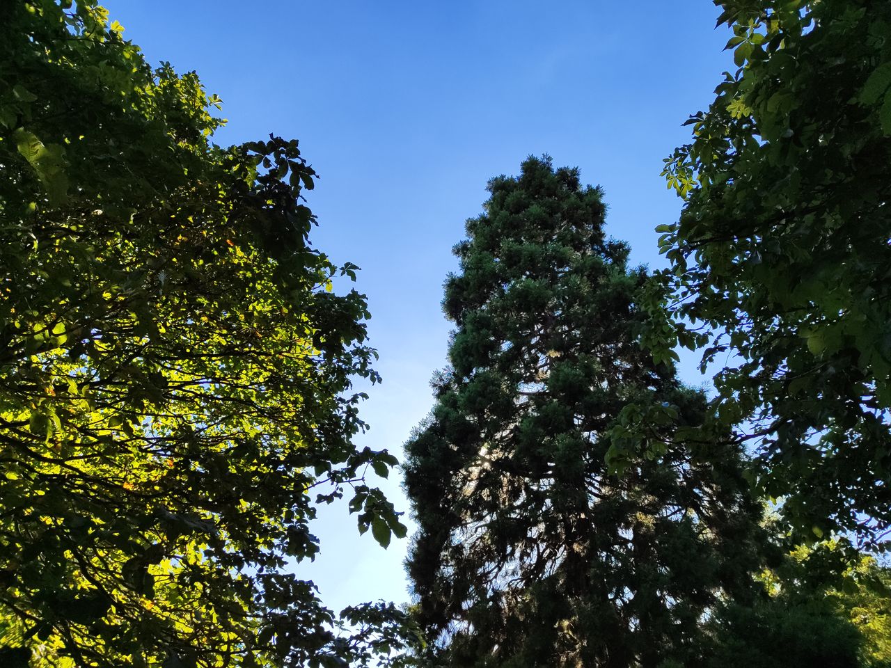 Photo taken on Xiaomi 12 Lite smartphone