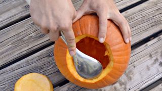 Person gutting out a pumpkin