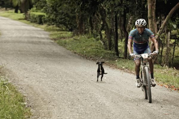 Moises Hernandez Amaya outruns one of the many small dogs out on course