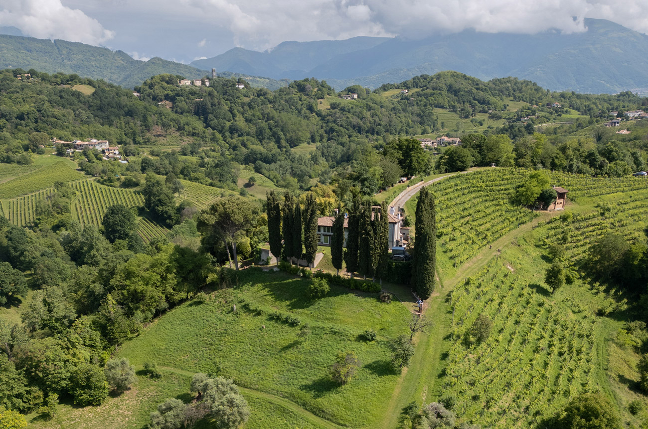 In Consorzio Asolo Montello vineyards account for only 7%of the production area