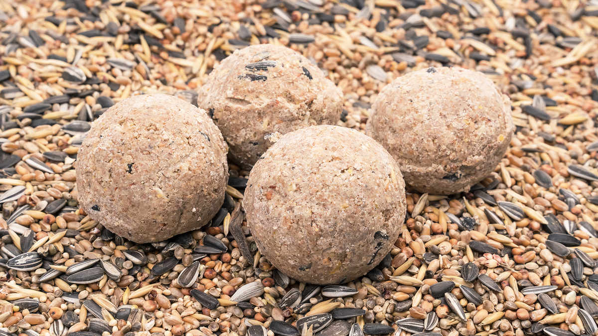 Fat balls